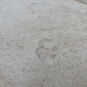 Galala Marble Honed Tumbled Paver 200x400x30mm