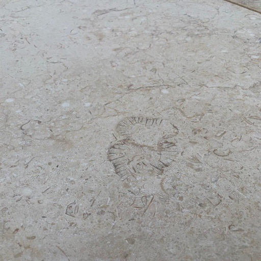 [PAMAGAHOTUNANA204030] Galala Marble Honed Tumbled Paver 200x400x30mm