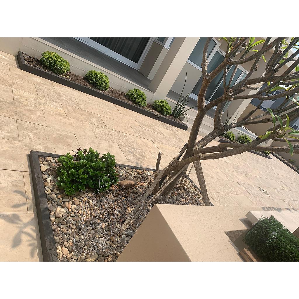 [PALIGOHOTUNAUN61030515] Gohera Limestone Honed  Unfilled Tile 600x400x15mm